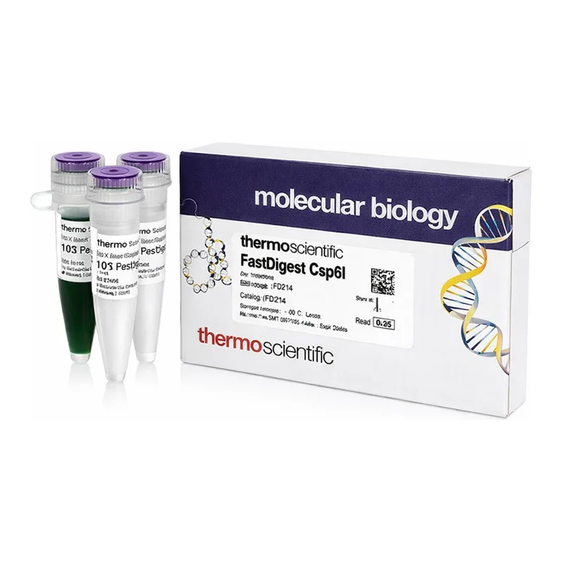 Thermo Fisher Scientific FastDigest Csp6I