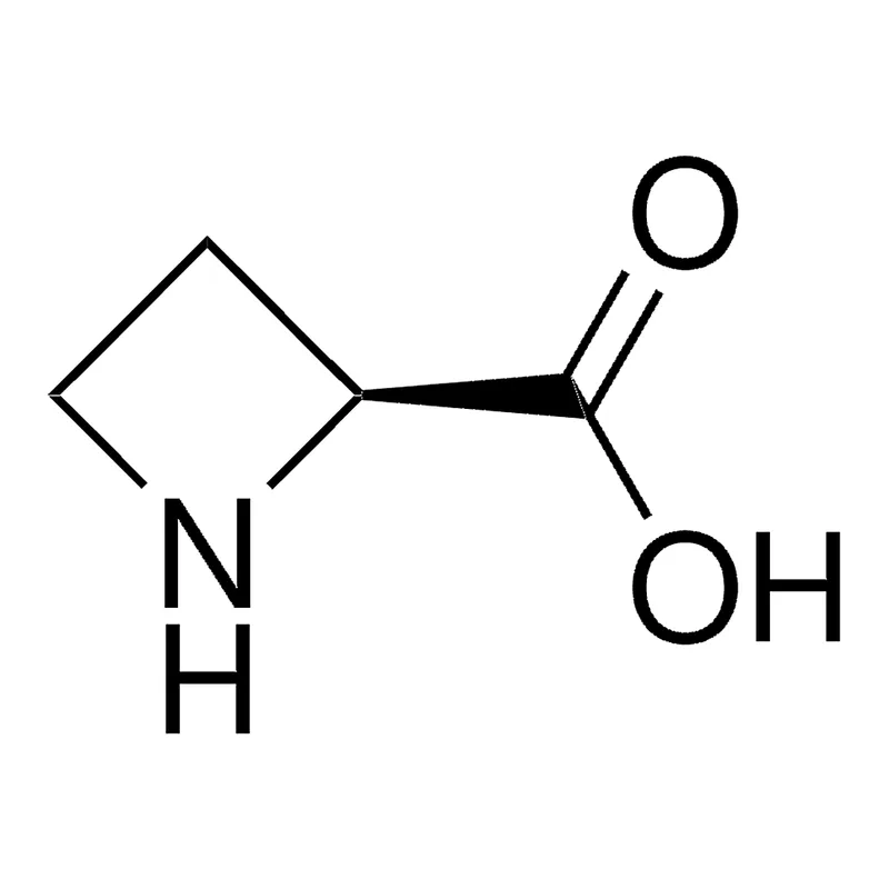 Merck L-Azetidine-2-carboxylic acid