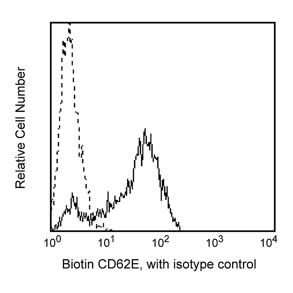 BD Biotin Mouse Anti-Human CD62E