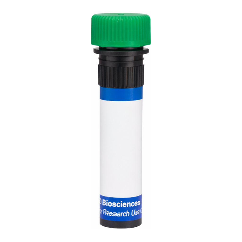 BD RB545 Mouse Anti-Human EGF Receptor