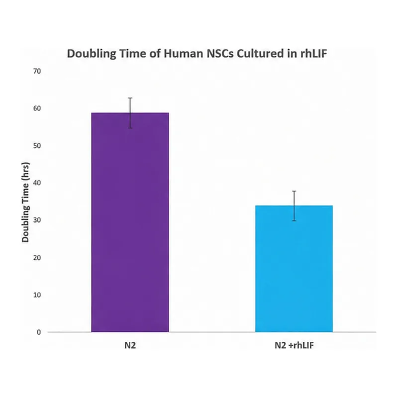 Merck Leukemia Inhibitory Factor human, animal component free