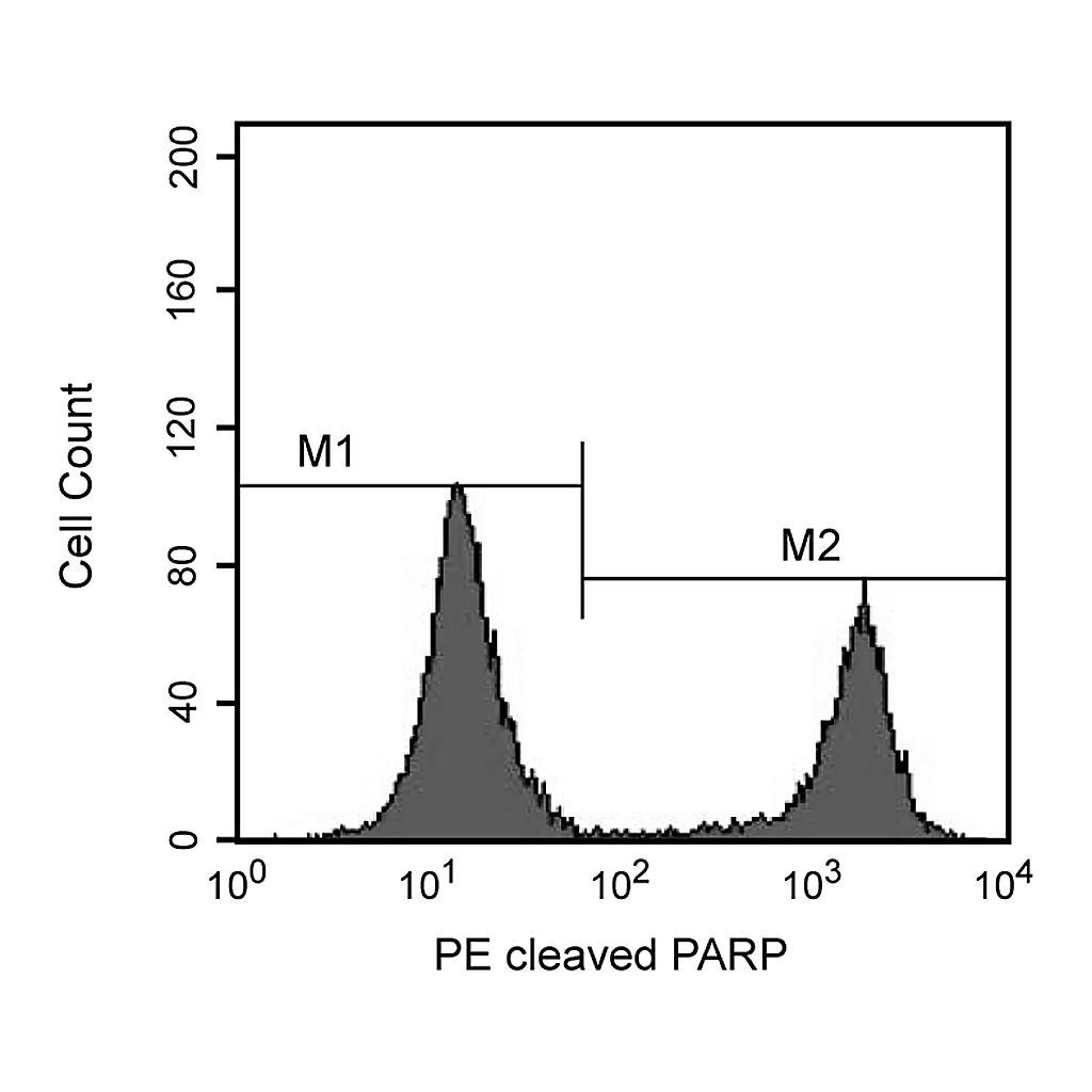 BD PE Mouse Anti-Cleaved PARP (Asp214)
