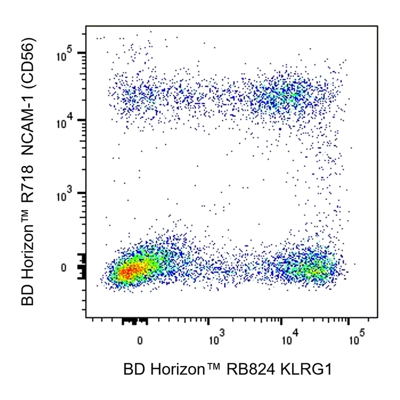 BD RB824 Mouse Anti-Human KLRG1