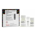 Thermo Fisher Scientific NE-PER Nuclear and Cytoplasmic Extraction Reagents, 15 mL