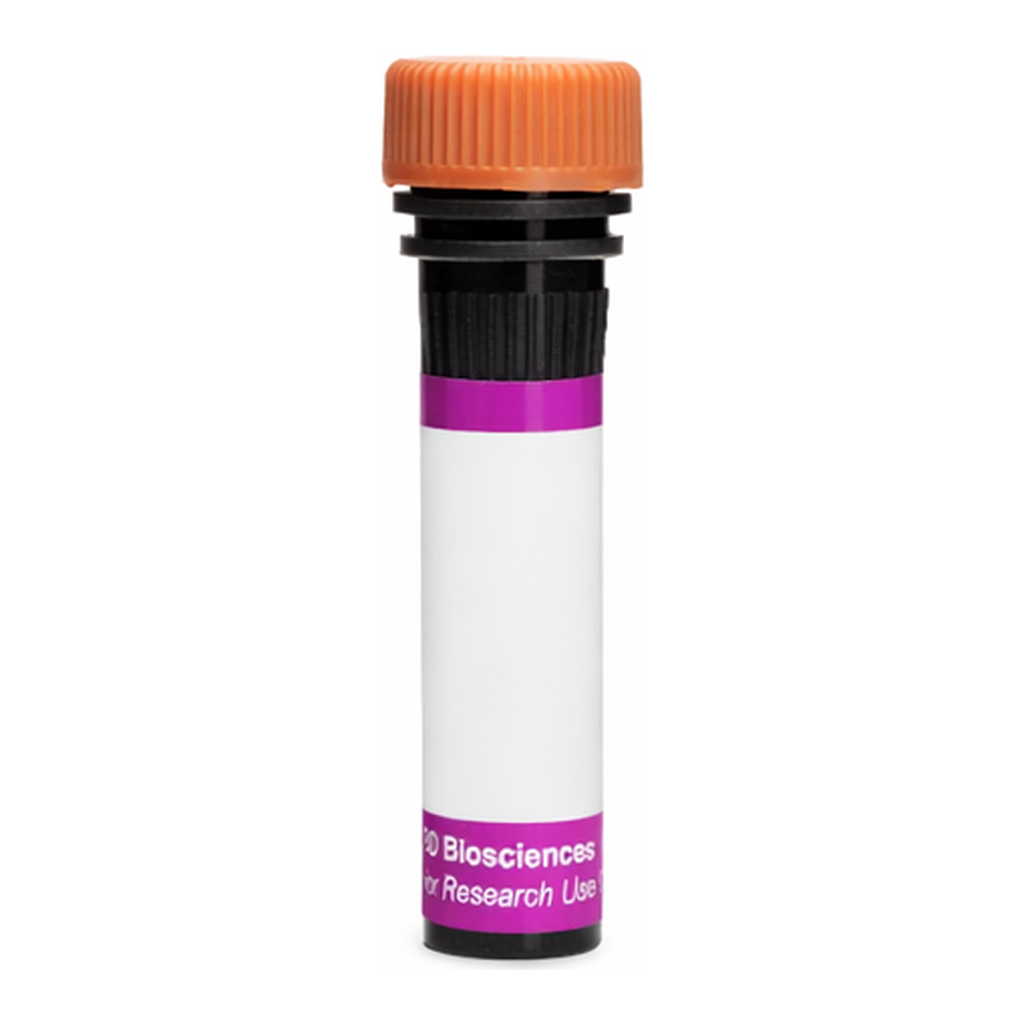 BD BV605 Mouse Anti-Human CD51 (Integrin αV)