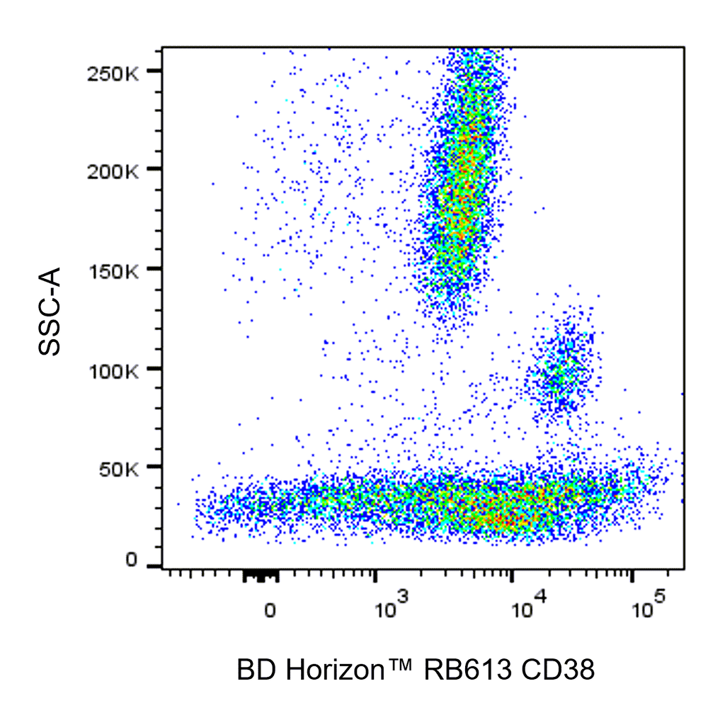 BD RB613 Mouse Anti-Human CD38