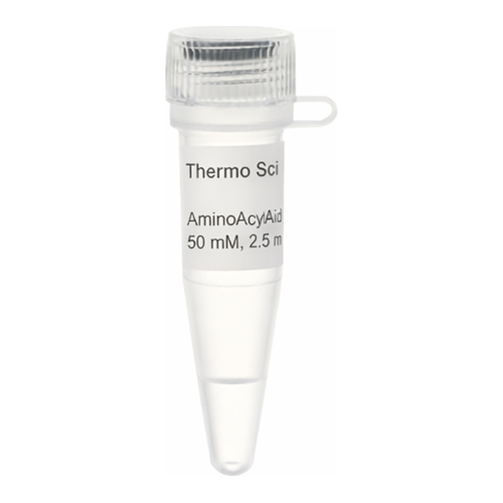 Thermo Fisher Scientific Aminoallyl-dUTP Solution (50 mM)
