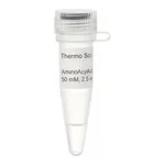Thermo Fisher Scientific Aminoallyl-dUTP Solution (50 mM)