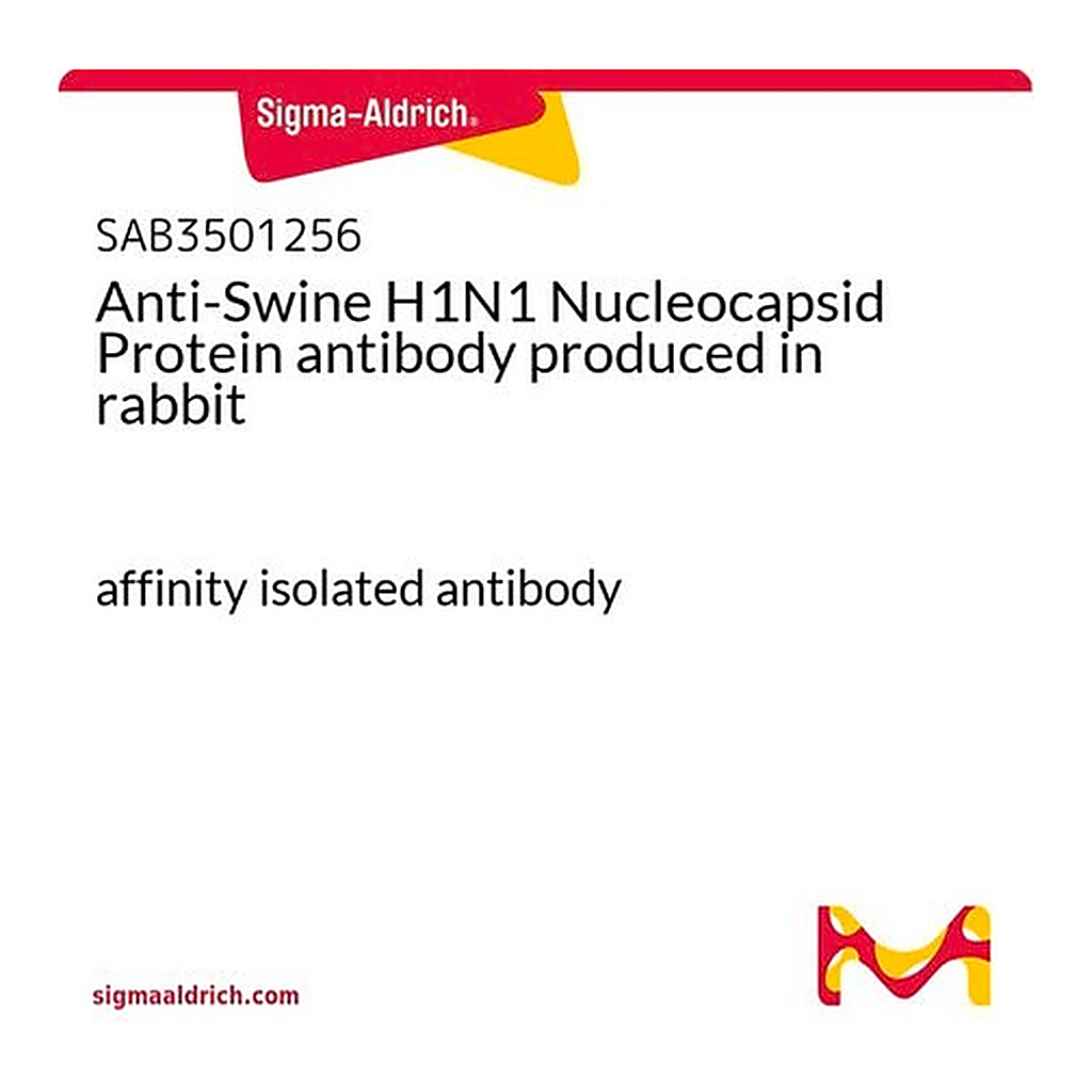 Merck Anti-Swine H1N1 Nucleocapsid Protein antibody produced in rabbit