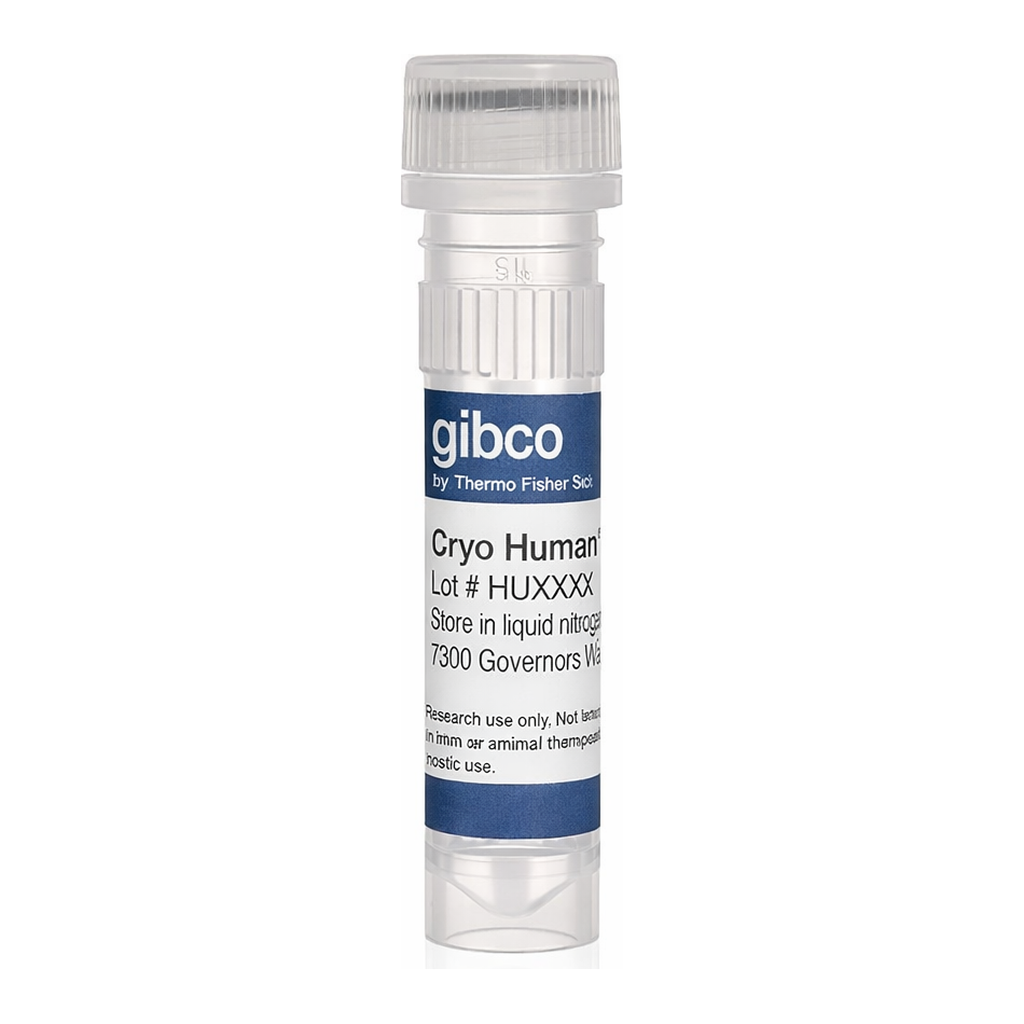 Thermo Fisher Scientific Human Plateable Hepatocytes, Uptake Qualified