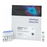 Thermo Fisher Scientific CellTrace Yellow Cell Proliferation Kit, for flow cytometry, 180 Assays