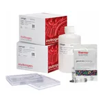 Thermo Fisher Scientific NuPAGE Tris-Acetate Resupply Pack, 3 to 8%, 1 Kit