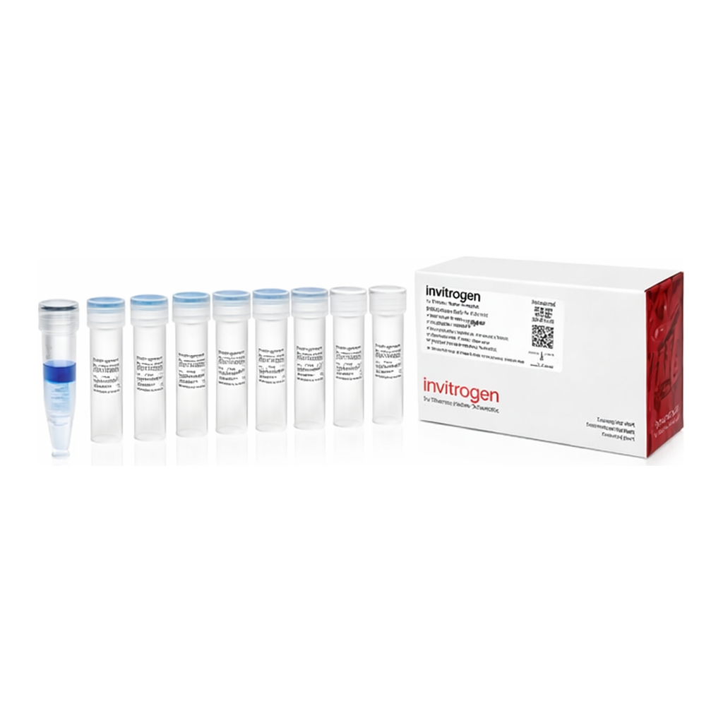 Thermo Fisher Scientific MEGAscript T7 Transcription Kit, 25 Reactions