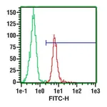 Merck Monoclonal Anti-CD31 (PECAM-1)-FITC antibody produced in mouse