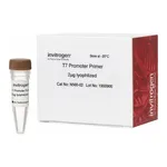 Thermo Fisher Scientific T7 Promoter Primer