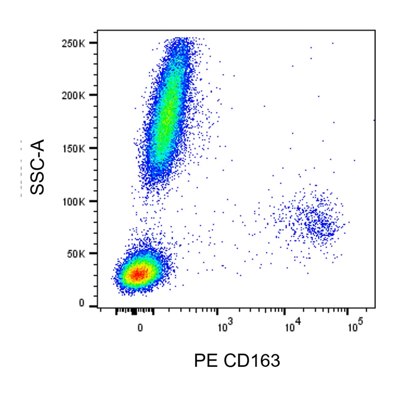 BD PE Mouse Anti-Human CD163
