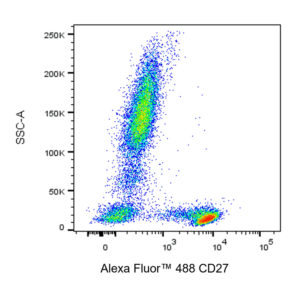 BD Alexa Fluor 488 Mouse Anti-Human CD27