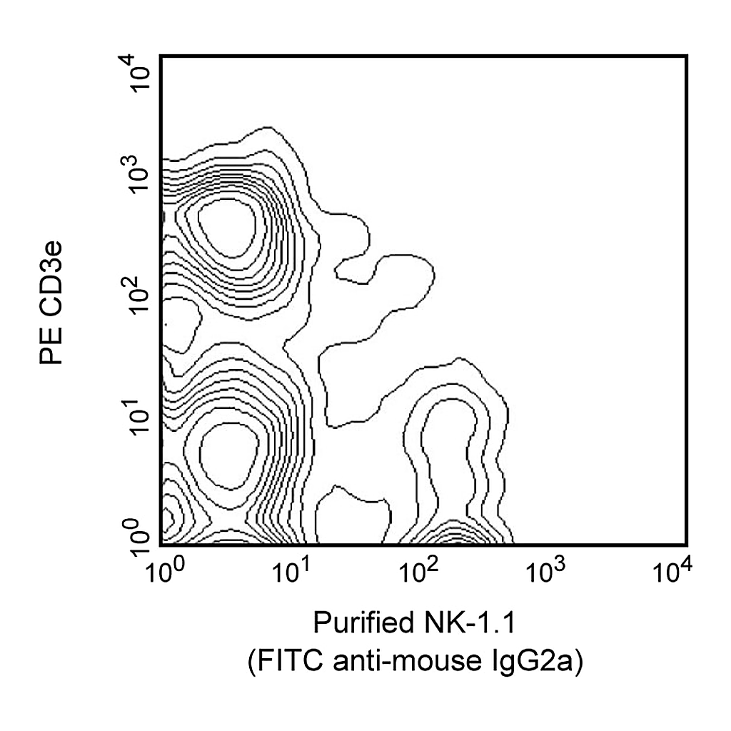 BD Purified Mouse Anti-Mouse NK-1.1