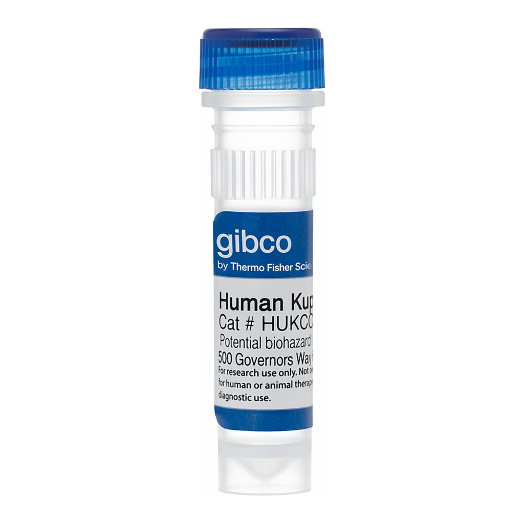 Thermo Fisher Scientific Cryopreserved Human Kupffer Cells