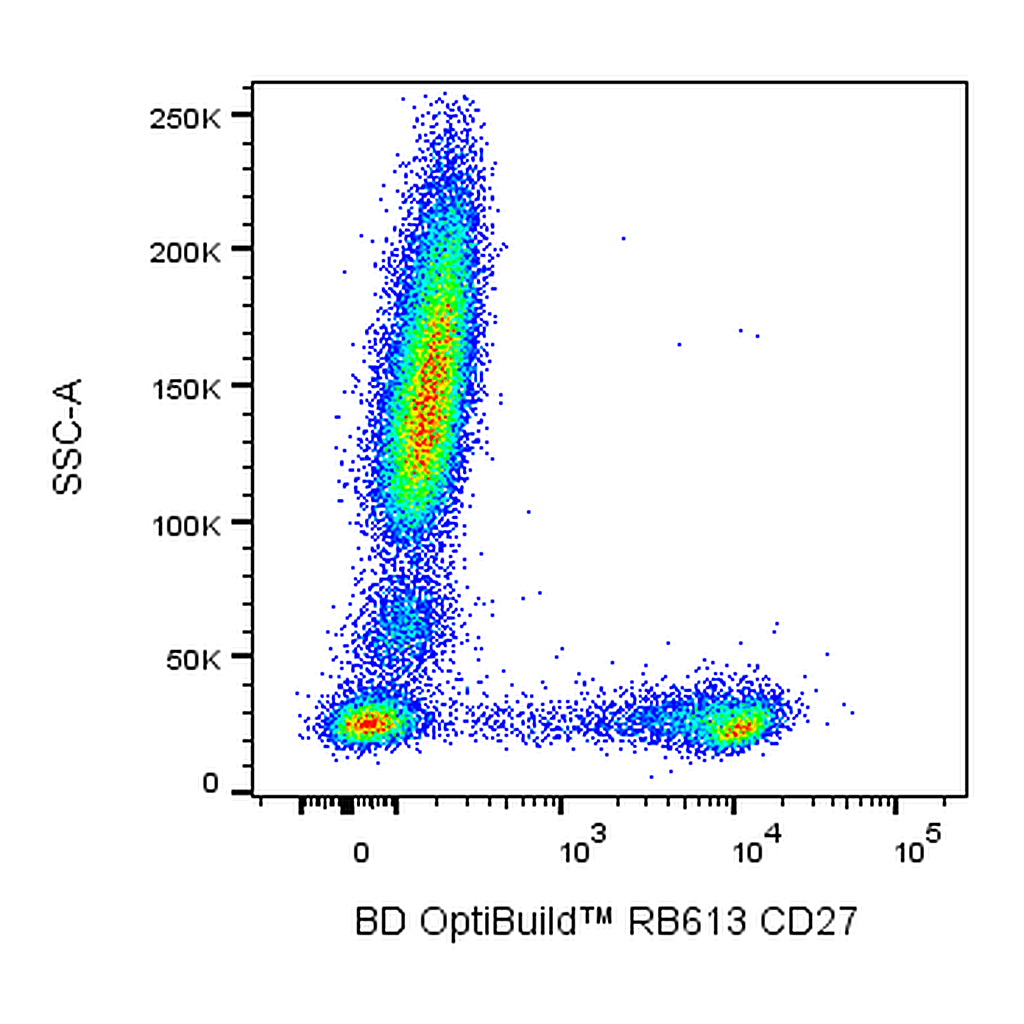BD RB613 Mouse Anti-Human CD27