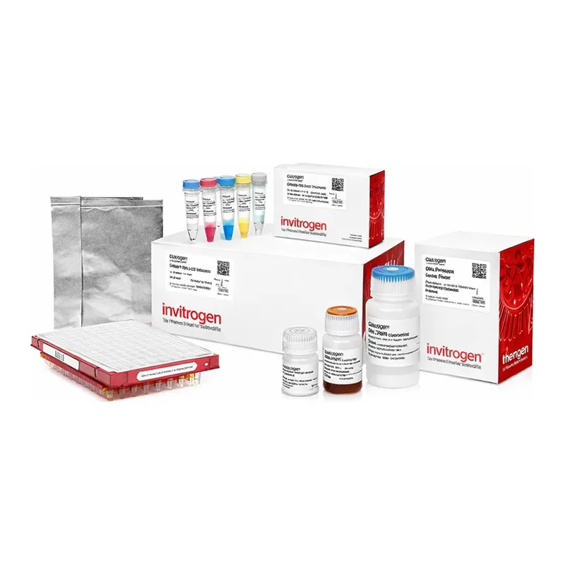 Thermo Fisher Scientific Collibri ES DNA Library Prep Kit for Illumina Systems, with CD indexes, 24 preps