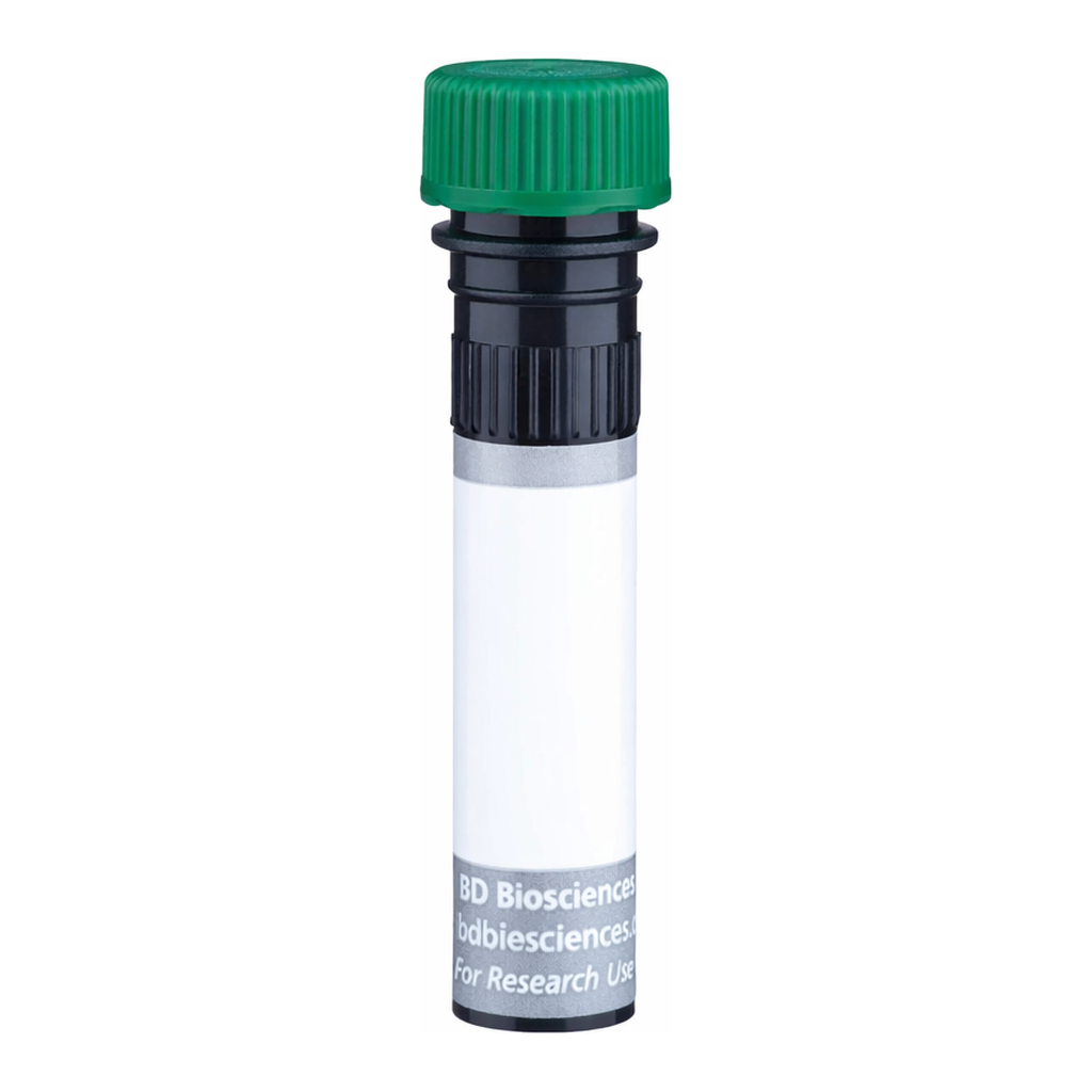 BD BUV563 Mouse Anti-Rat High Affinity IgE Receptor
