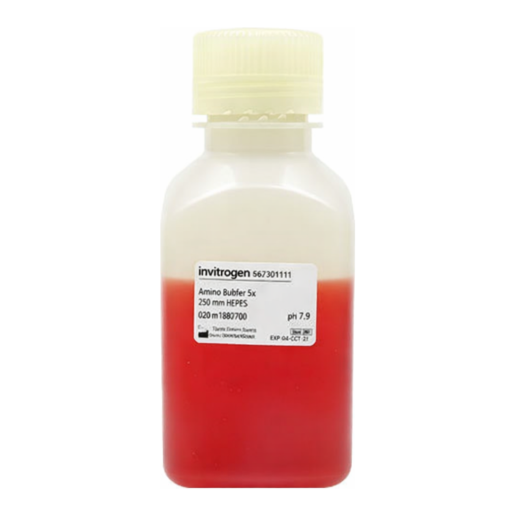 Thermo Fisher Scientific ELISA Assay Buffer (5X)