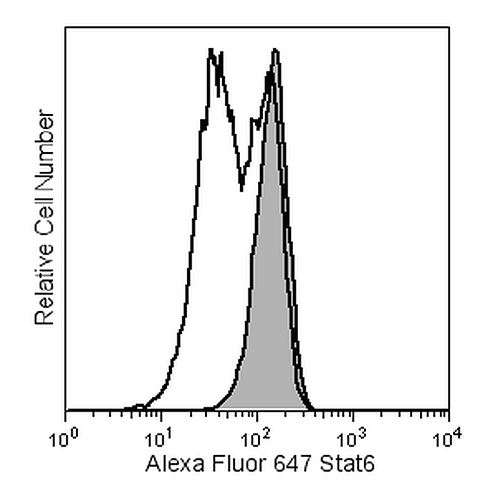 BD Alexa Fluor® 647 Mouse anti-Stat6