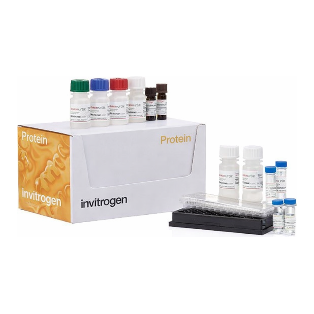 Thermo Fisher Scientific Cytokine 25-Plex Human Panel
