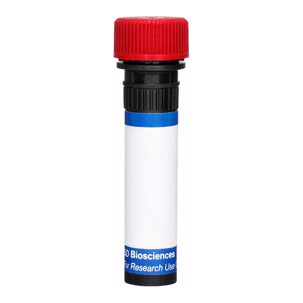 BD RB670 Mouse Anti-Human CD212 (IL-12 Receptor β1)