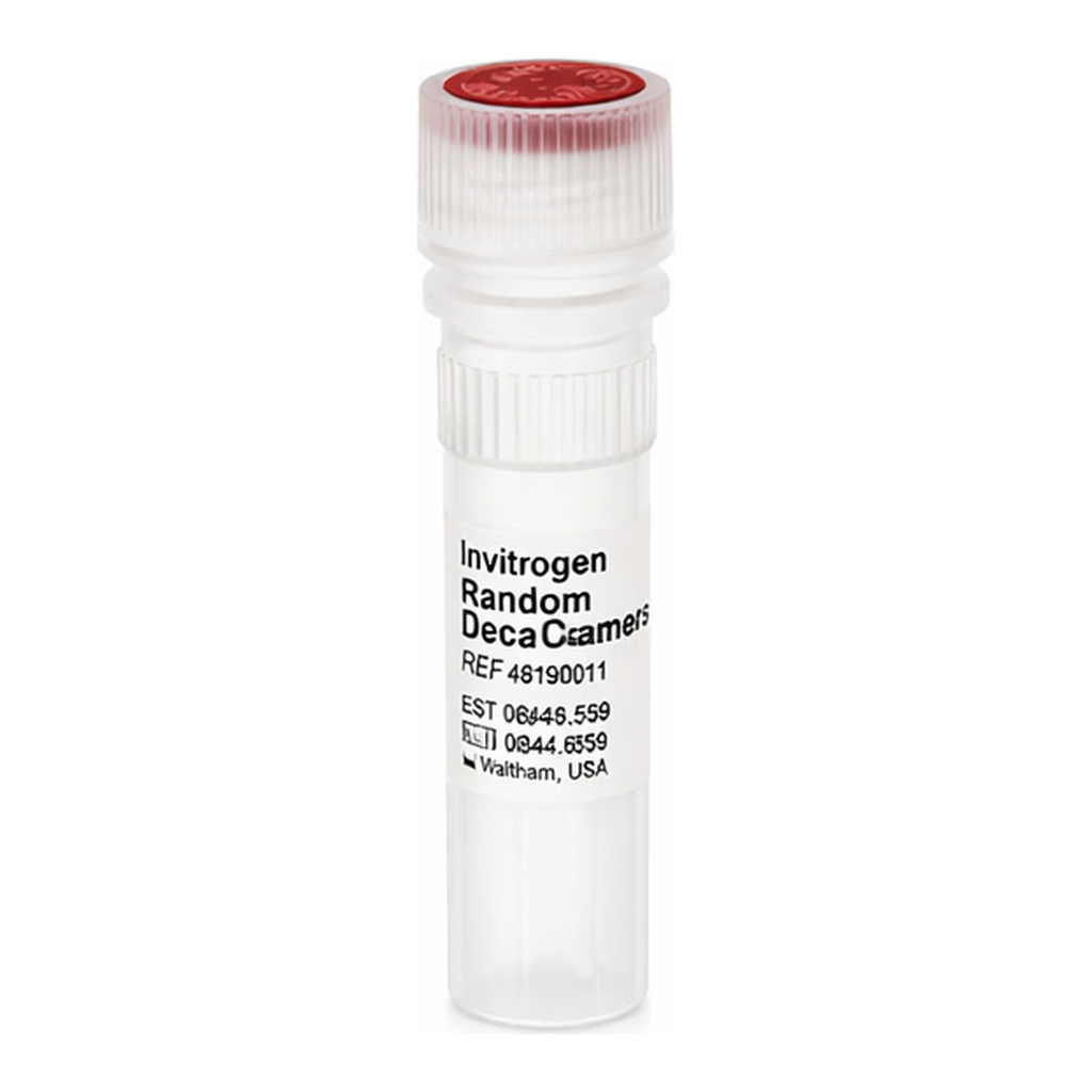 Thermo Fisher Scientific Random Decamers (50 μM)