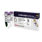 Thermo Fisher Scientific FastDigest FspBI