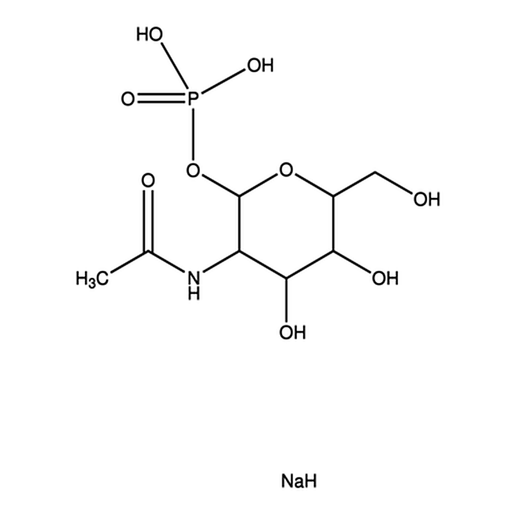 Merck N-ACETYL-ALPHA-D-GLUCOSAMINE 1-PHOS&