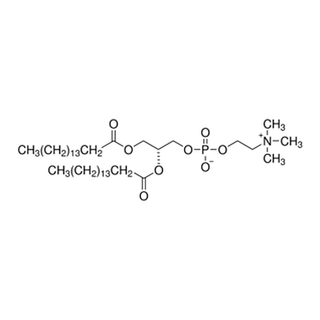 Merck 1,2-DIPALMITOYL-SN-GLYCERO-3-PHOSPHOCHO&
