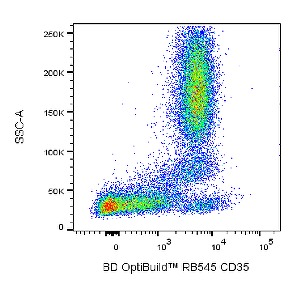 BD RB545 Mouse Anti-Human CD35