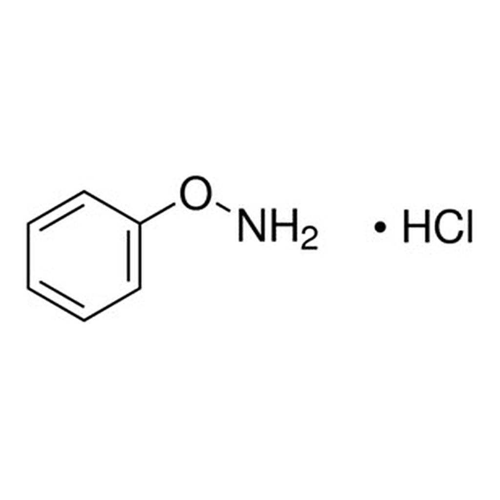 Merck O-PHENYLHYDROXYLAMINE HYDROCHLORIDE, >=&