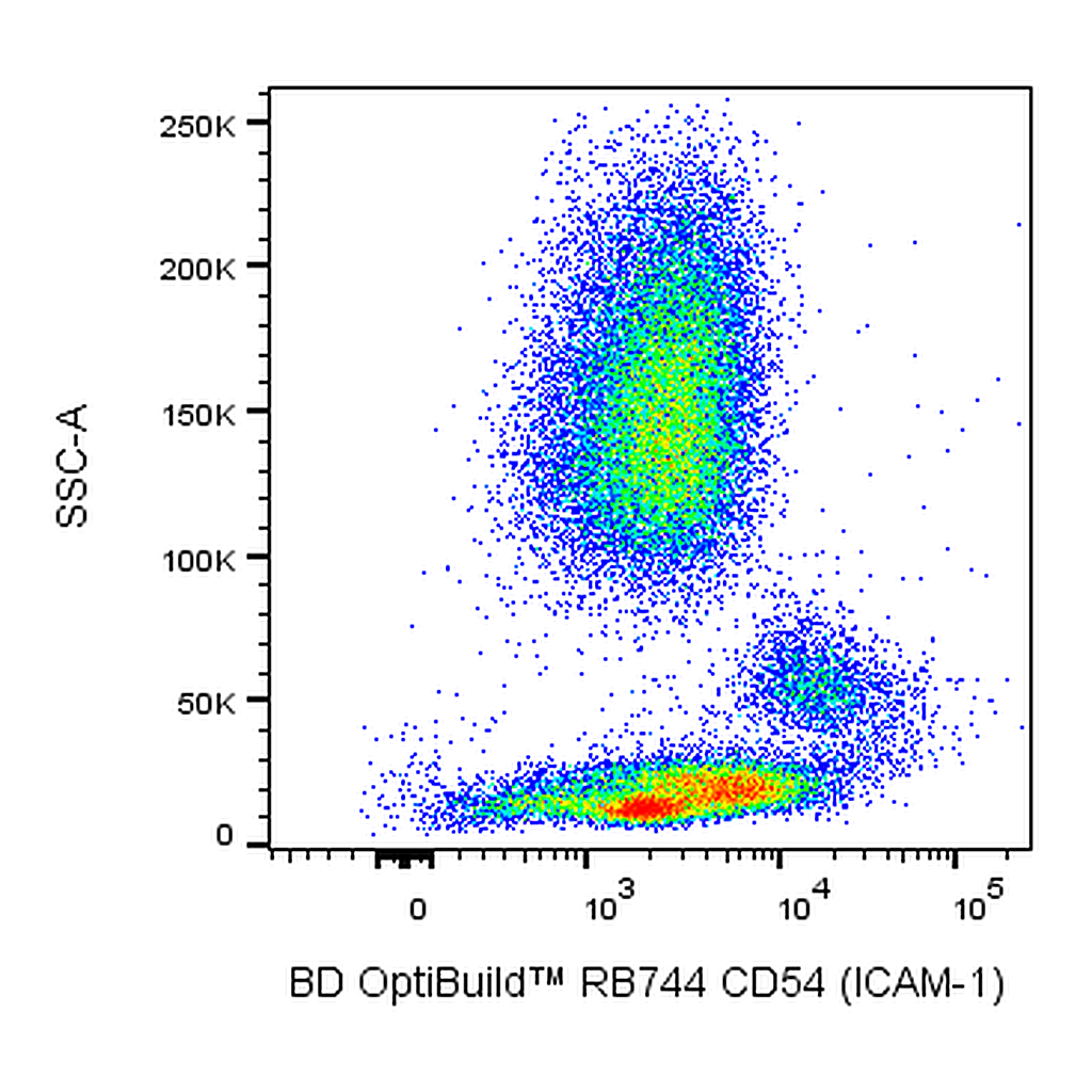 BD RB744 Mouse Anti-Human CD54 (ICAM-1)