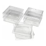 Thermo Fisher Scientific Owl Gel Staining Box