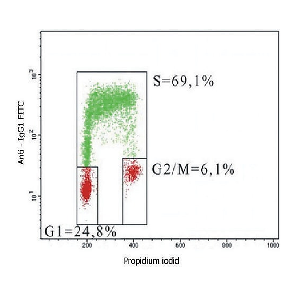 Merck Monoclonal Anti-5-bromodeoxyuridine antibody produced in mouse