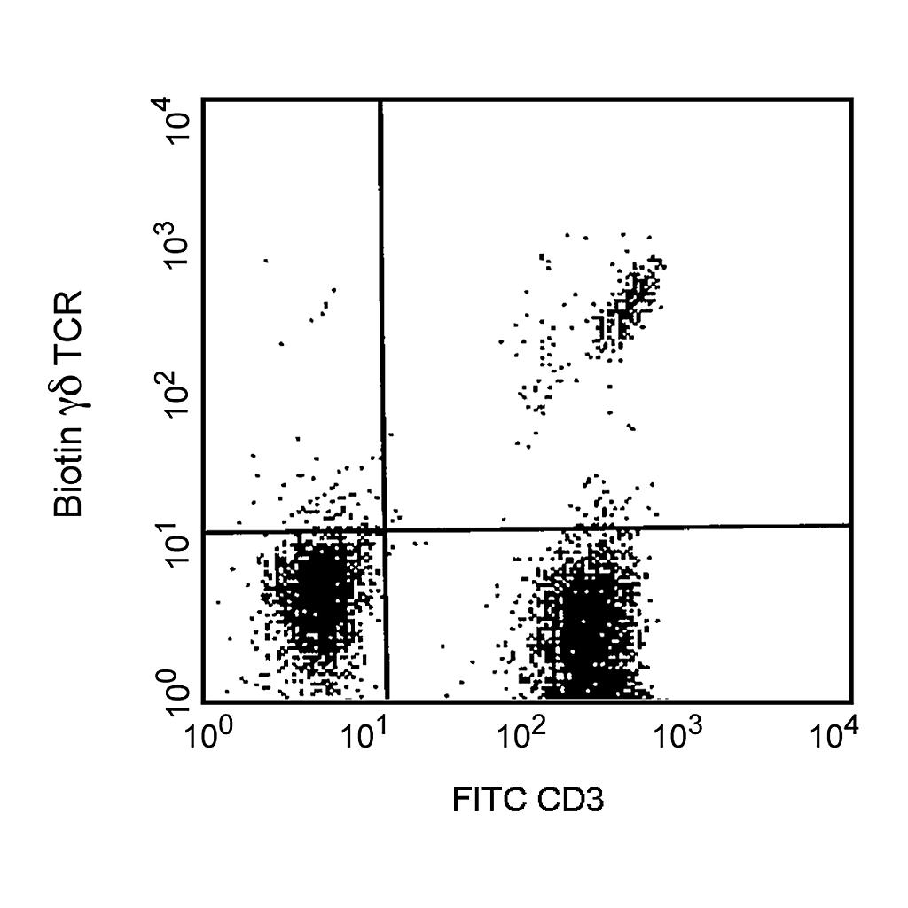 BD Biotin Mouse Anti-Human TCR γδ