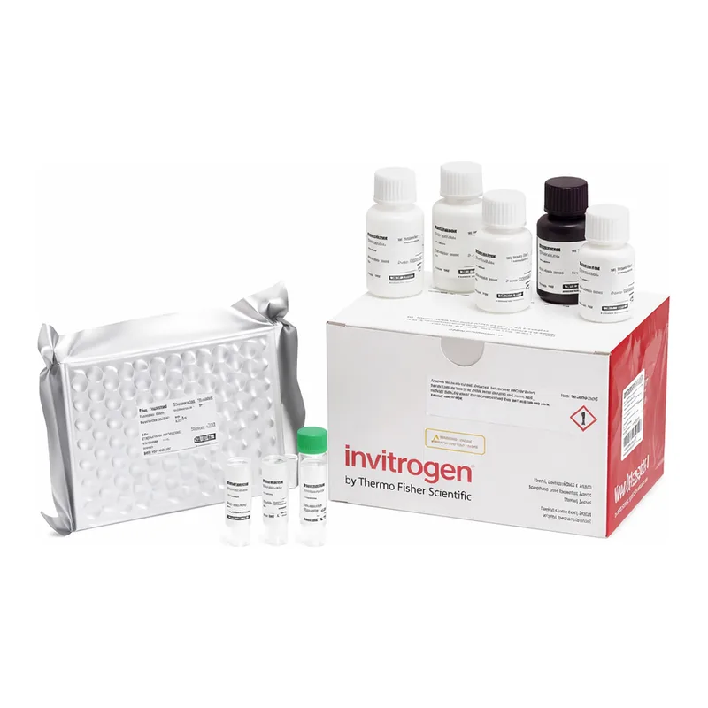 Thermo Fisher Scientific Human Estradiol Rapid ELISA Kit