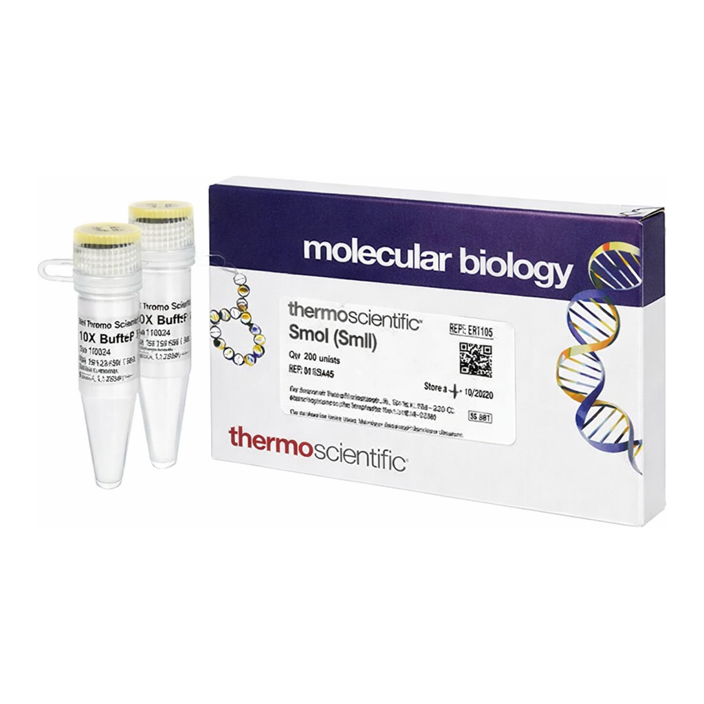 Thermo Fisher Scientific SmoI (SmlI) (10 U/&mu;L)