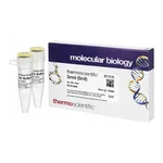 Thermo Fisher Scientific SmoI (SmlI) (10 U/μL)