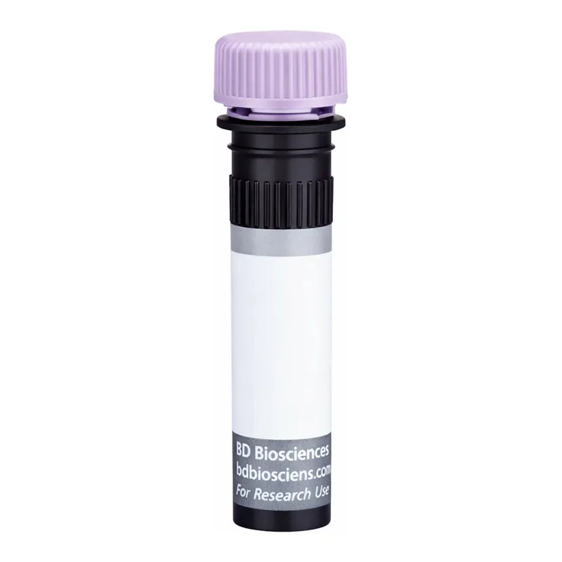 BD BUV395 Rat Anti-Mouse Ig, κ light chain