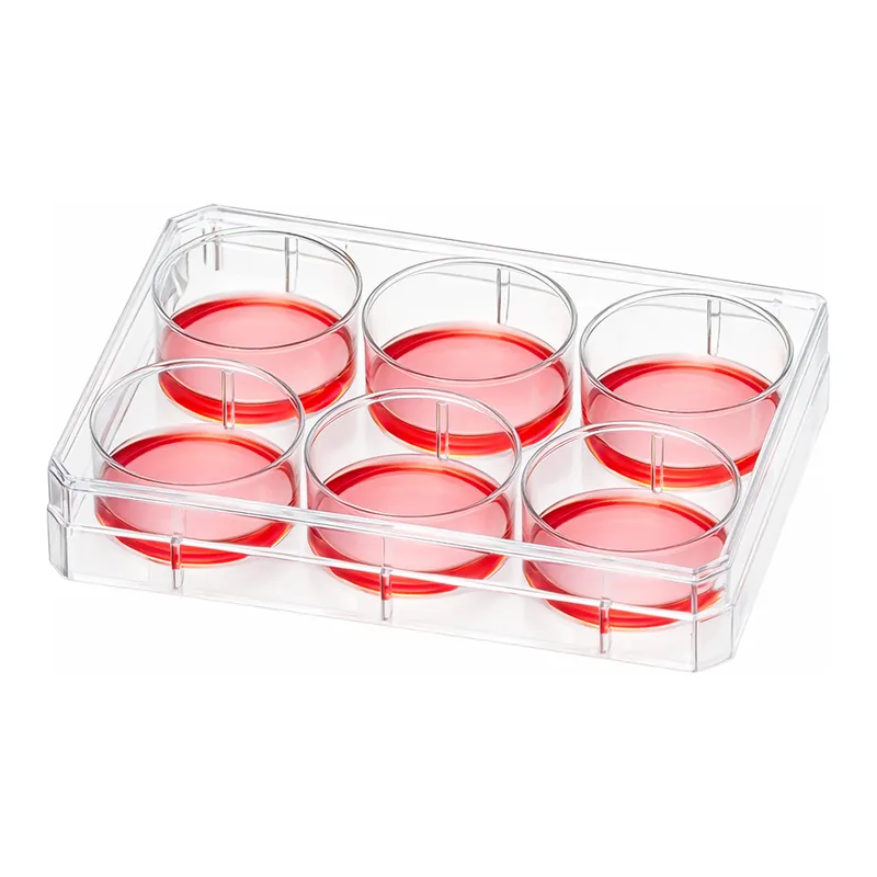 Thermo Fisher Scientific Nunc Multidishes with Nunclon Supra Surface