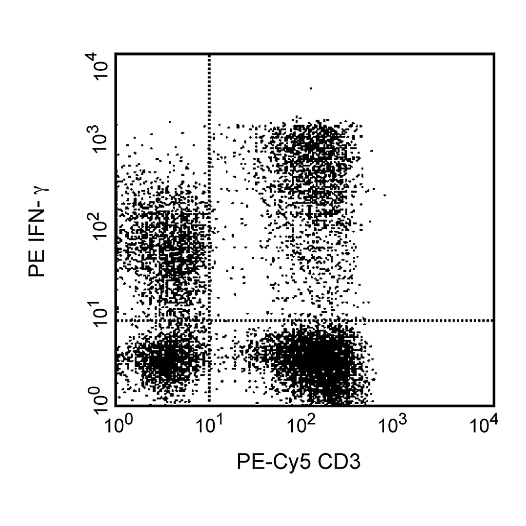 BD PE Mouse Anti-Human IFN-γ