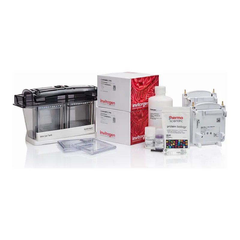 Thermo Fisher Scientific NuPAGE WedgeWell Tris-Acetate Welcome Pack and Mini Blot Modules, 3 to 8%, 10-well, 1 Welcome Pk. kit