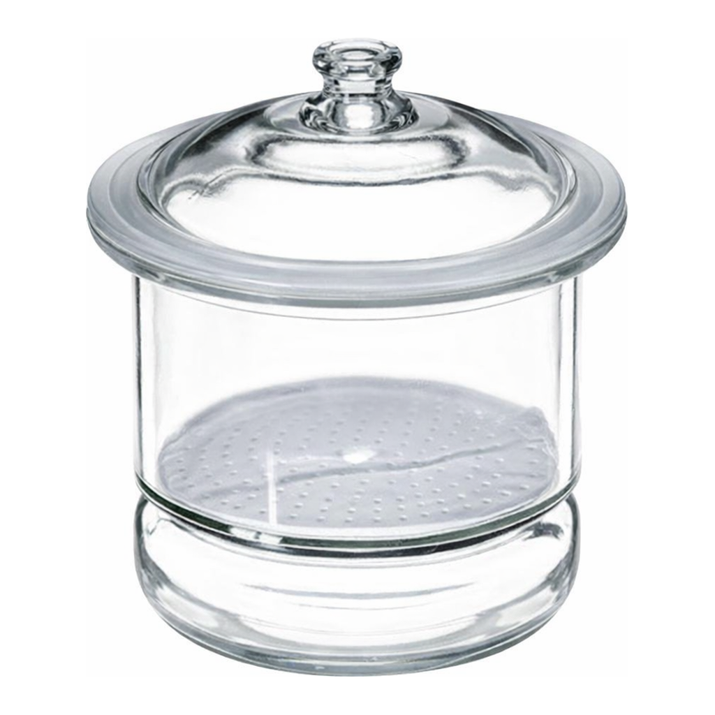 Thermo Fisher Scientific Desiccator with Porcelain Plate