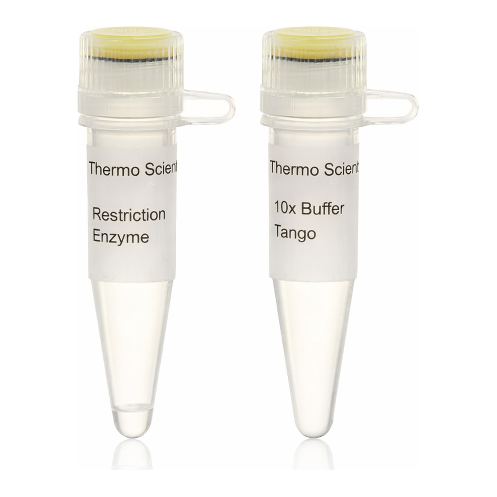 Thermo Fisher Scientific MspI (HpaII) (10 U/&mu;L), 3,000 units