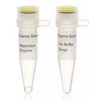 Thermo Fisher Scientific MspI (HpaII) (10 U/μL), 3,000 units
